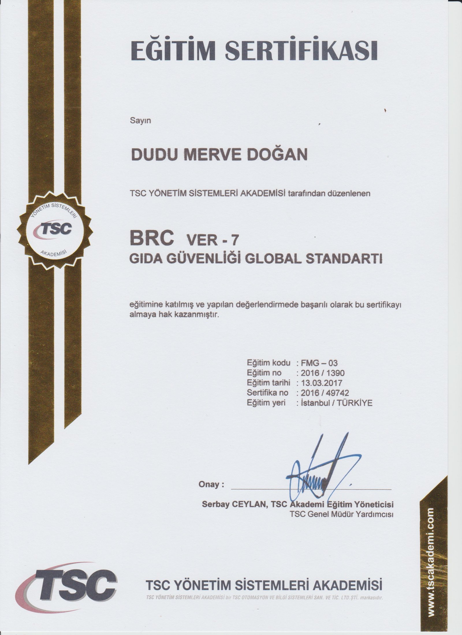 brc ver 7
